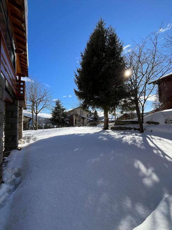 Chalet 3 chambres avec jardin - Les Angles - 5