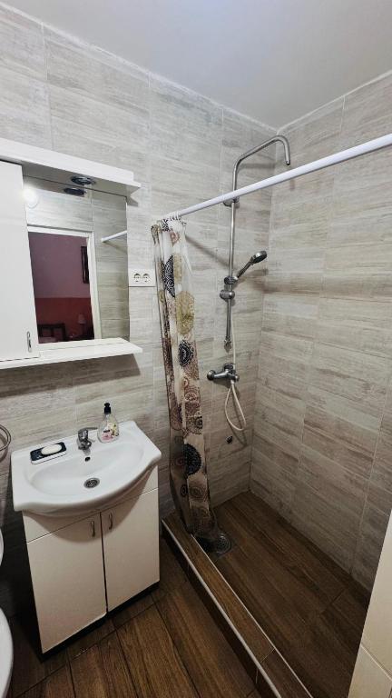 Apartment Balkan - 4