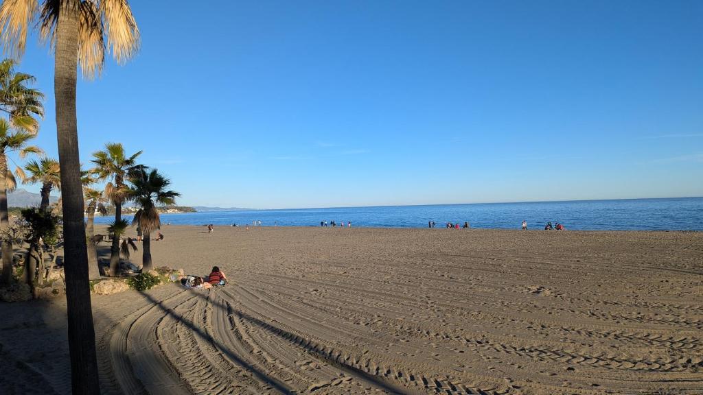 Tranquil Beachfront Apartments Mar Azul Resort - 5