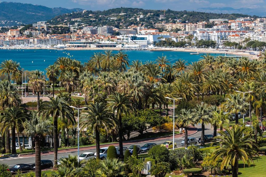 Charming & Elegant La Croisette apartment in Cannes - 2