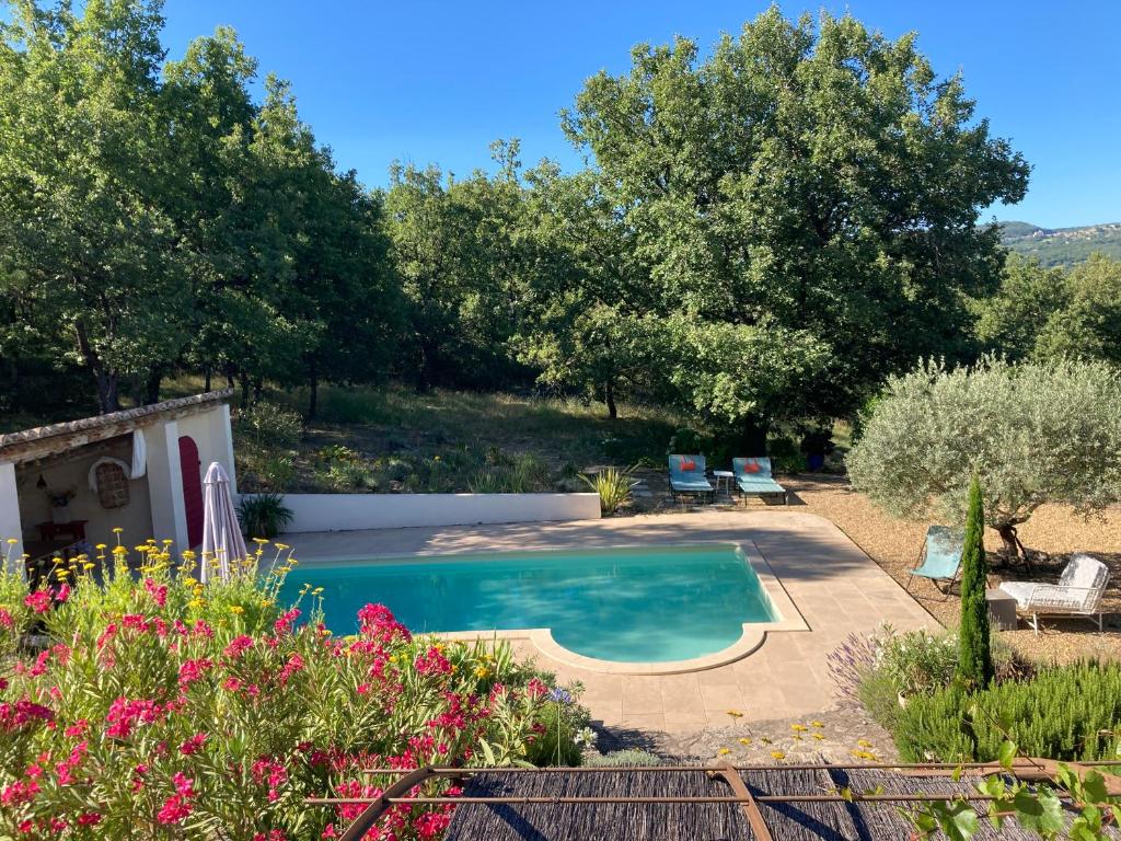 Les oliviers, Saignon