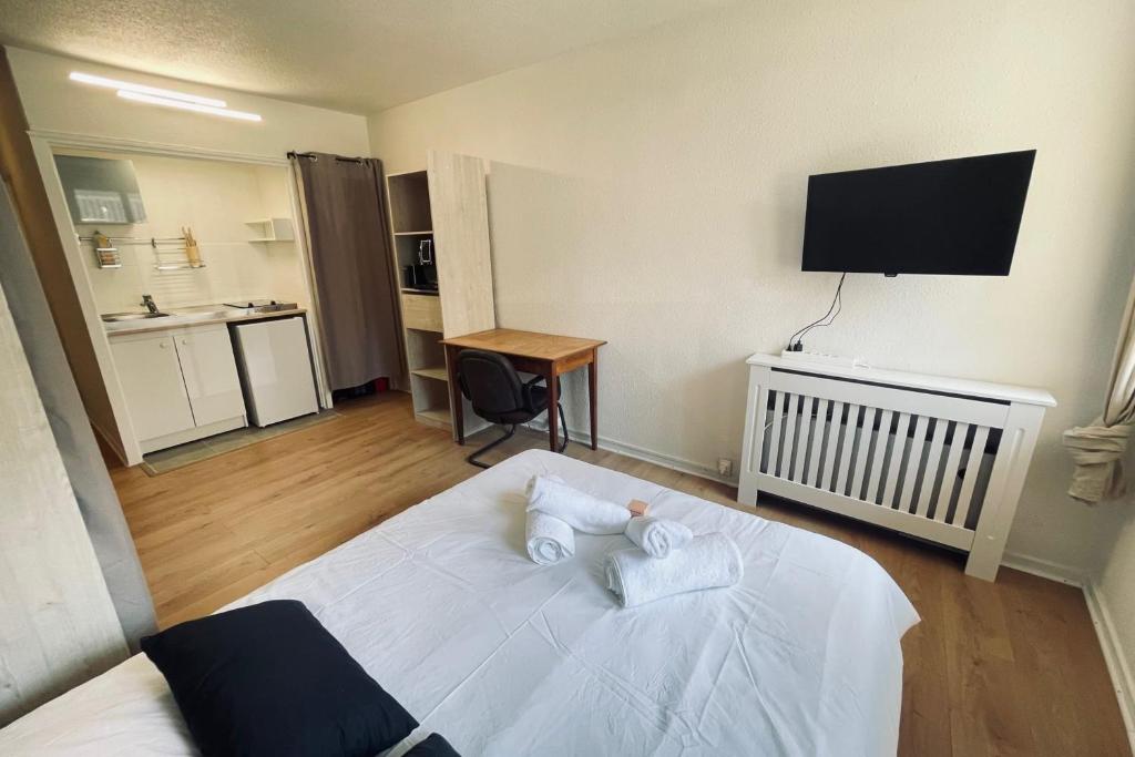 Studio of 21m 2 near the heart of Toulouse - 5