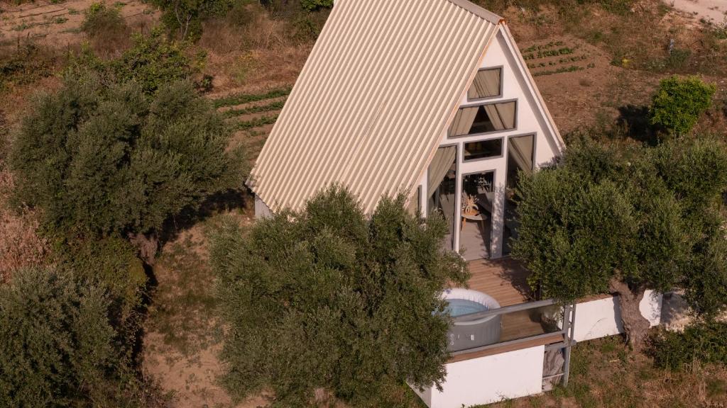 Olive Frame, Zakynthos