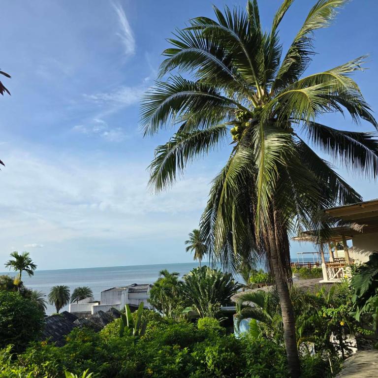 Surrounding environment