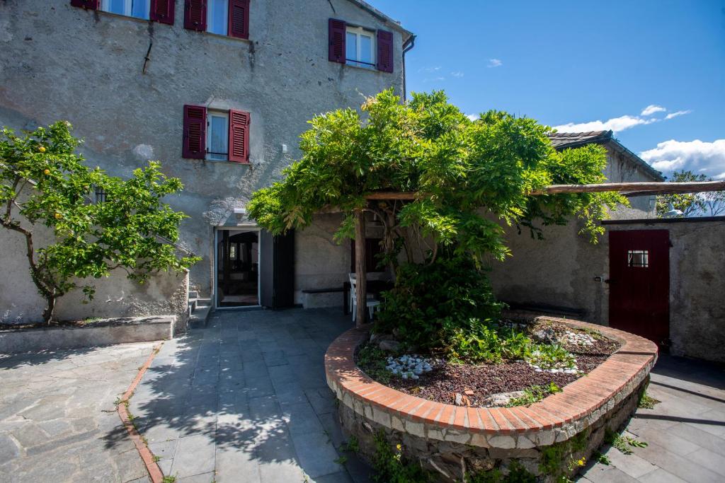277B - Il Frantoio della Marchesa - Giardino e Piscina nel verde di Sestri Levante - 5