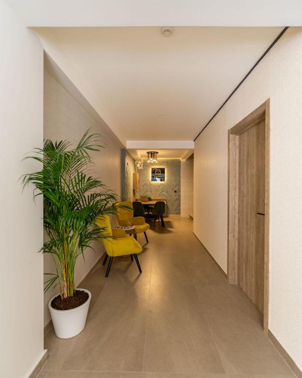 Emily Suites - 2