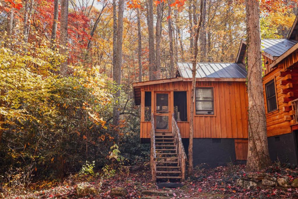 Bird's Nest cabin at Cabin Fever in NC, Saluda