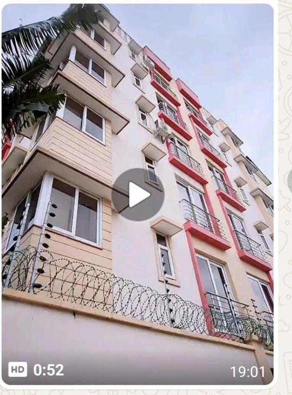 JoeJoy Stays, Gatunga