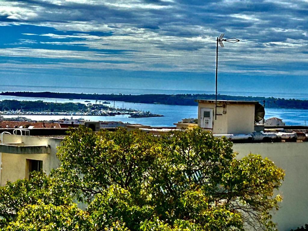 Appartement rêves d'or, Cannes