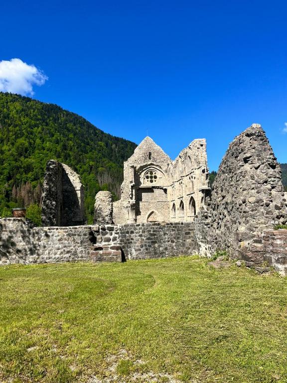 Abbaye Apartment Saint Jean D'Aulps - 5
