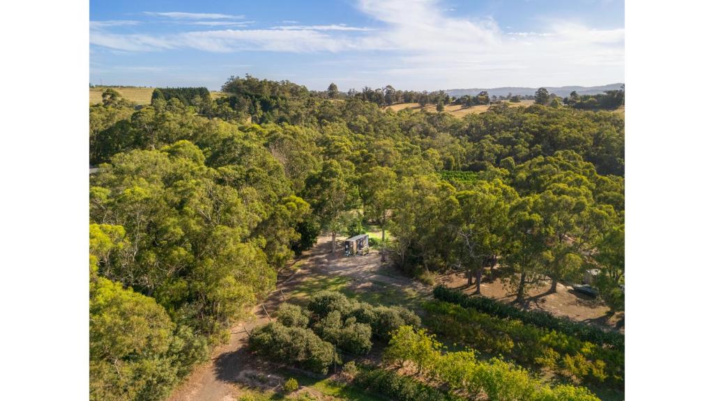 Orange 1 by Tiny Away, Woori Yallock