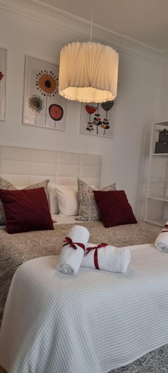 Casa Roman SPORT - 5
