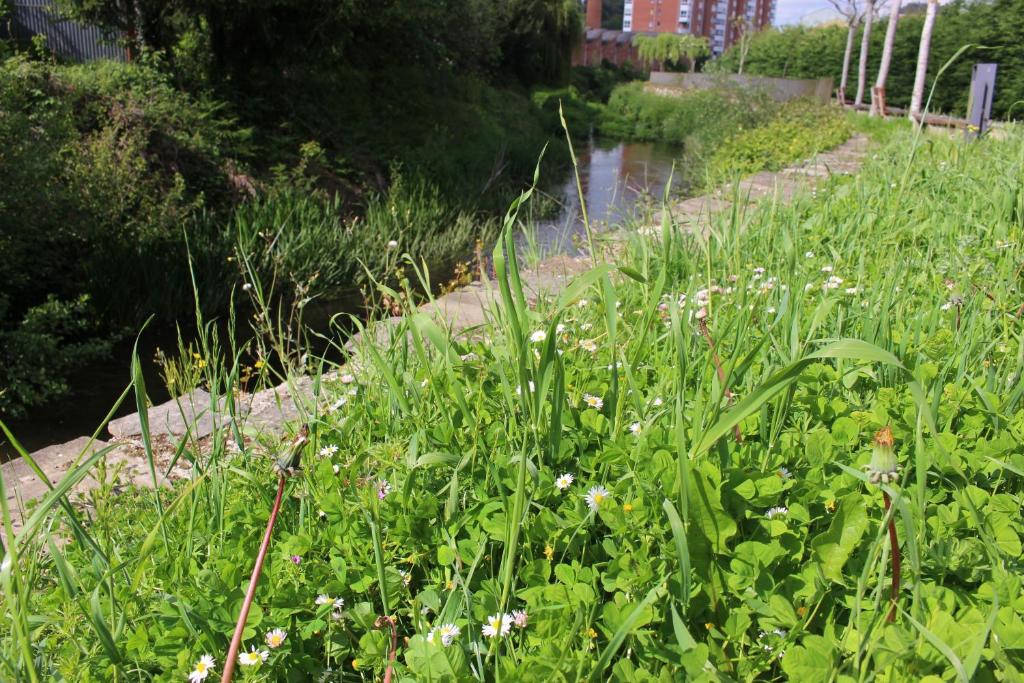 Surrounding environment