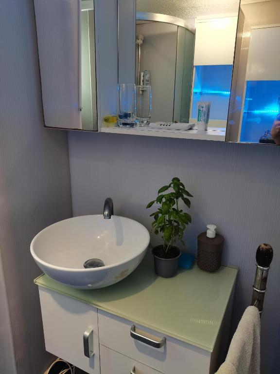 Exit festival house stay - 4