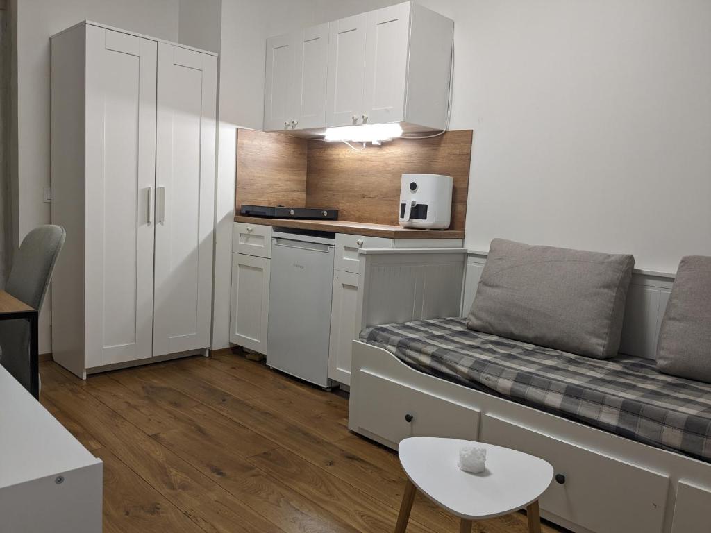 Small studio in Vilnius, Vilnius