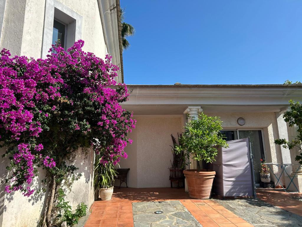 La palmeraie Evanlucas, Biguglia