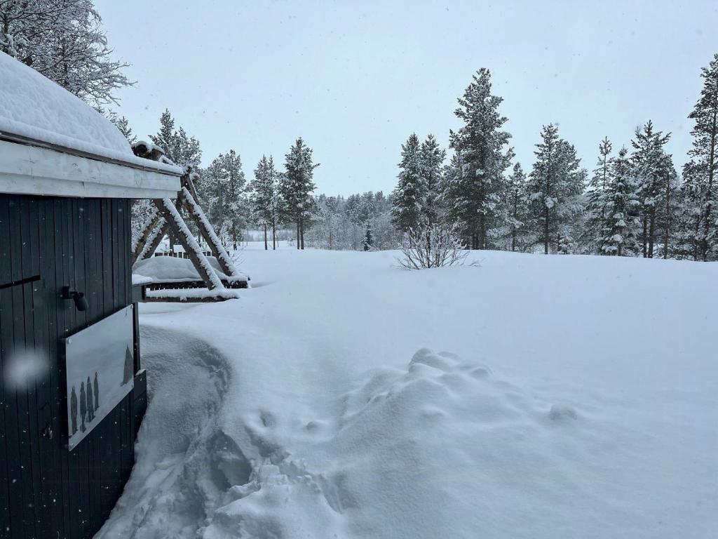 Cabin With Mountain View Near Lake Totak, Rauland