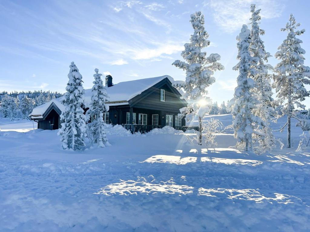 Mountain Cabin With Panoramic View In Nesbyen, Nesbyen