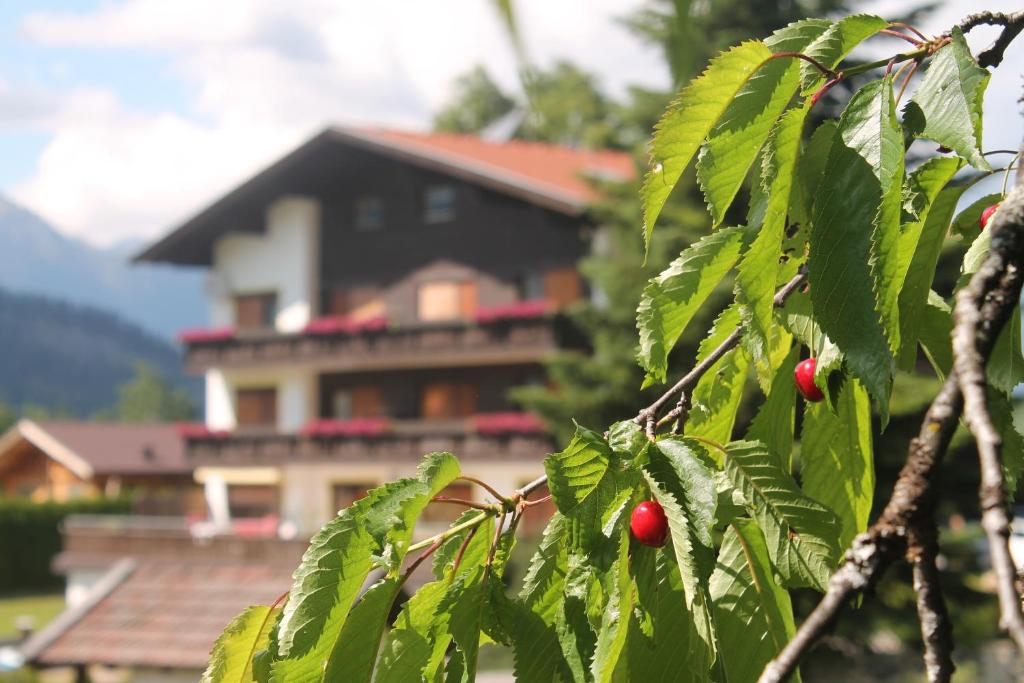 Ferienwohnungen Dietmar Thoni inclusive Pitztal Sommercard photo
