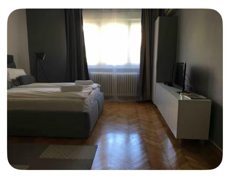 Pedestrian Zone Escape, Bělehrad