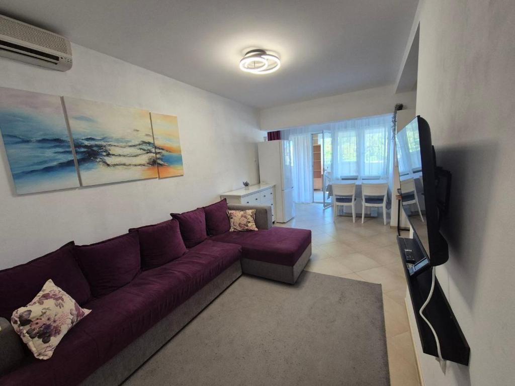 Cozy apartment in Petrovac - 1