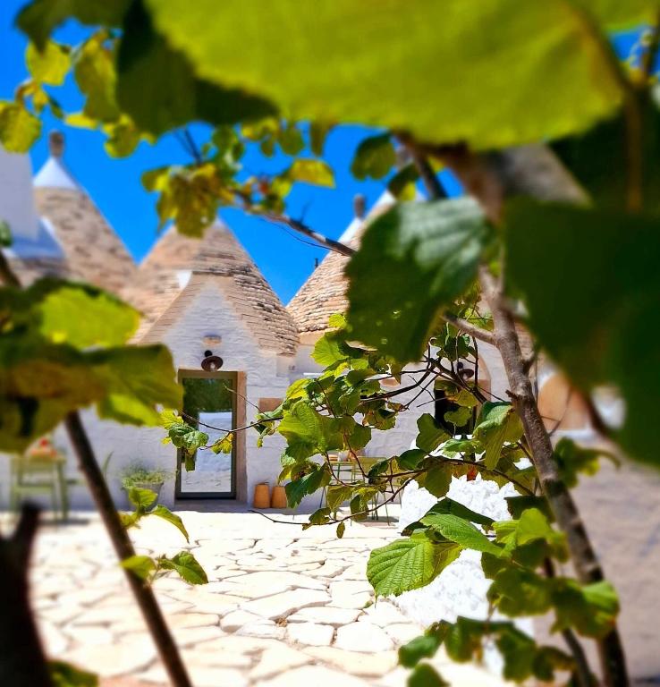 Trulli e Frasche, Martina Franca