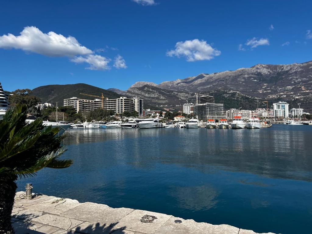 NEWBORN Hostel Budva - 4