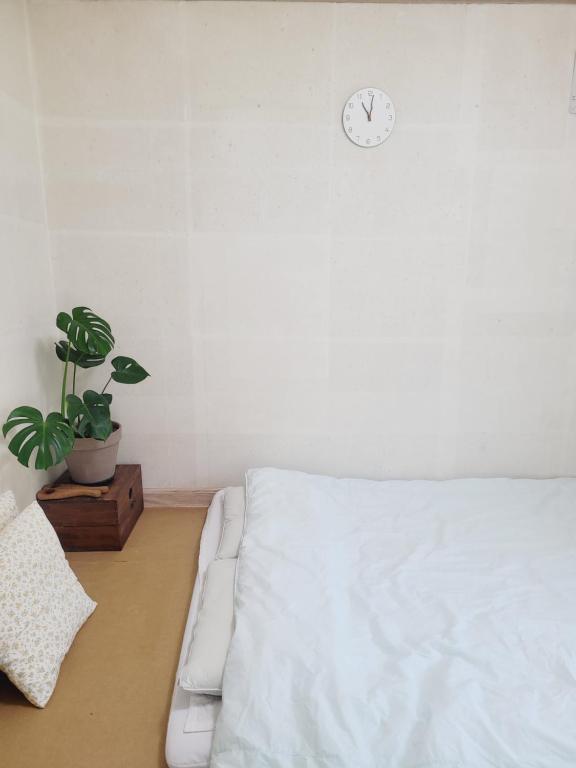 Gyeongju Moon Rabbit, Gyeongju