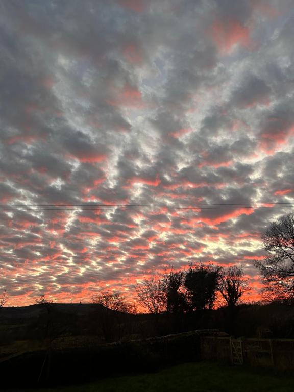 The Dizzy Duck Stable Barn, Loughton