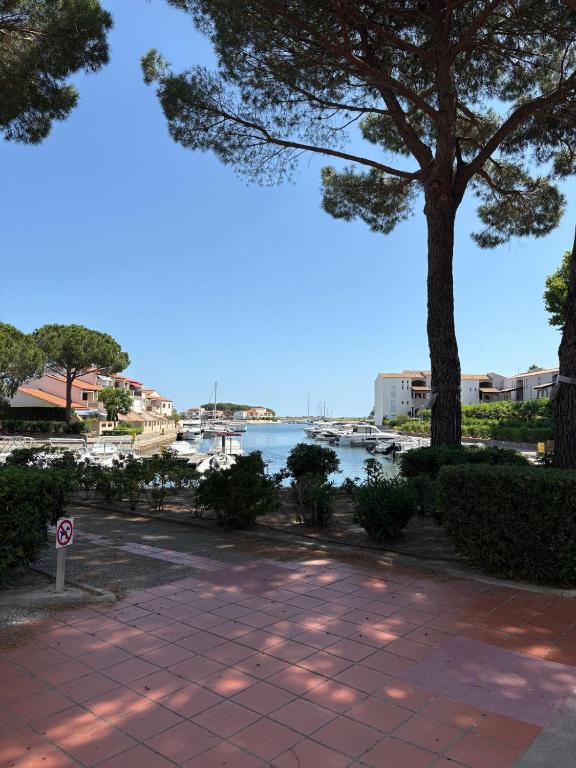 Appart en RDC avec grandre terrasse sur la Marina - 2