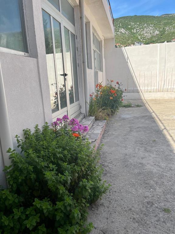 Filip house apartments - 2