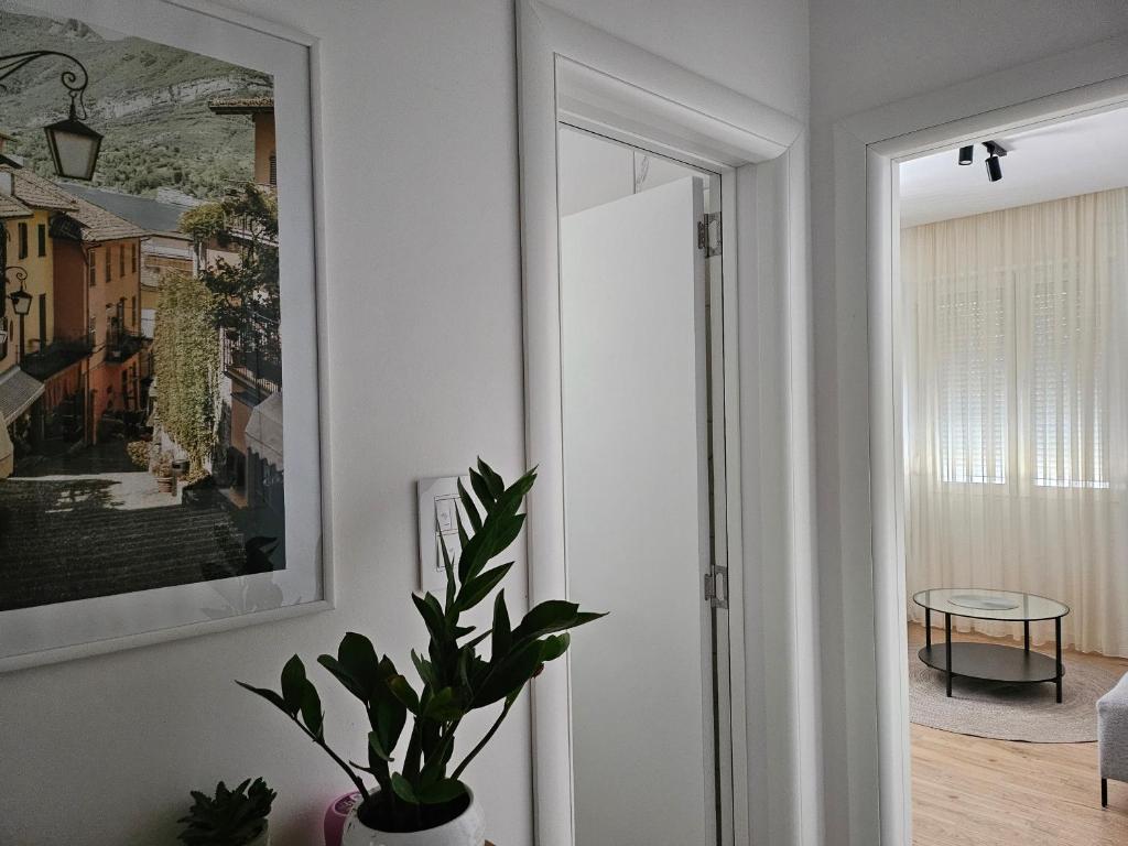 NEST Apartment - 3
