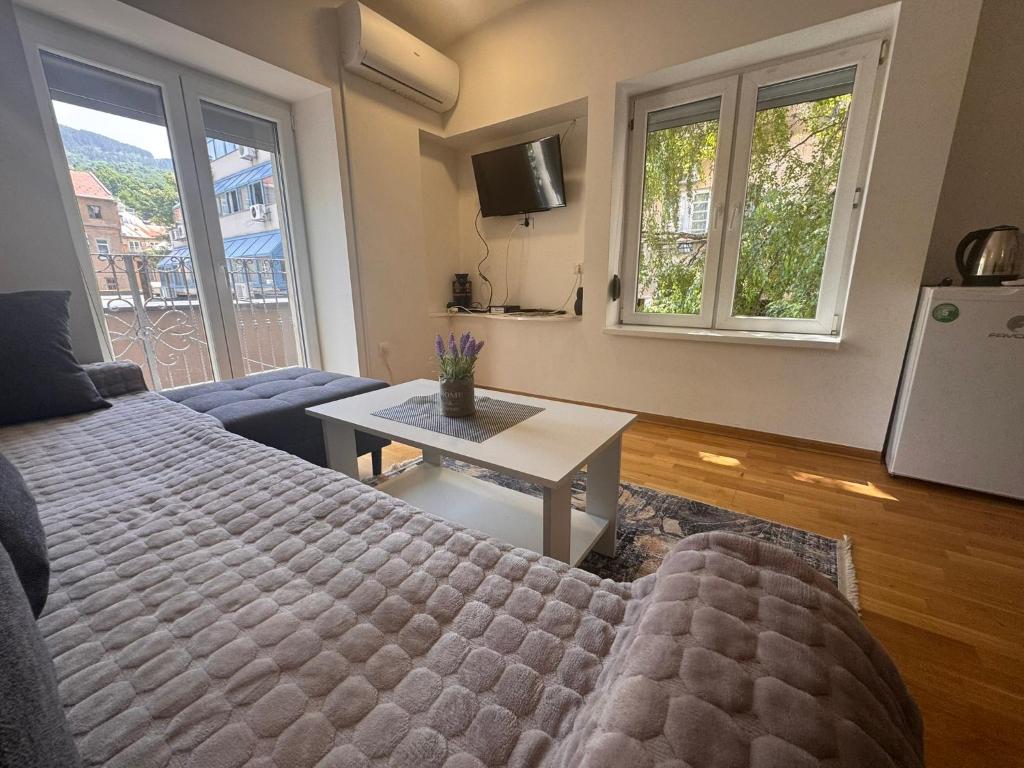 Central Point Sarajevo Apartments - City Center - 3