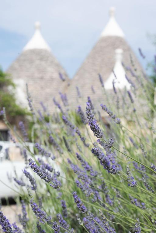 Trullo Alba - 5