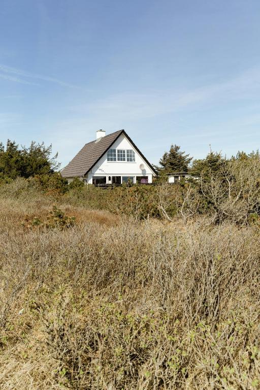 Atmosphere Close To Water Surrounded By Pines, Hvide Sande