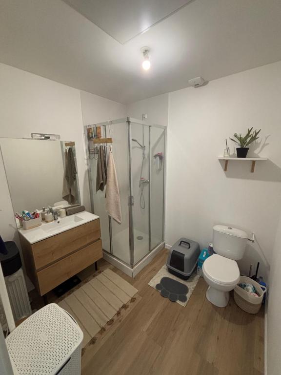 Studio lumineux 45m2 - 4