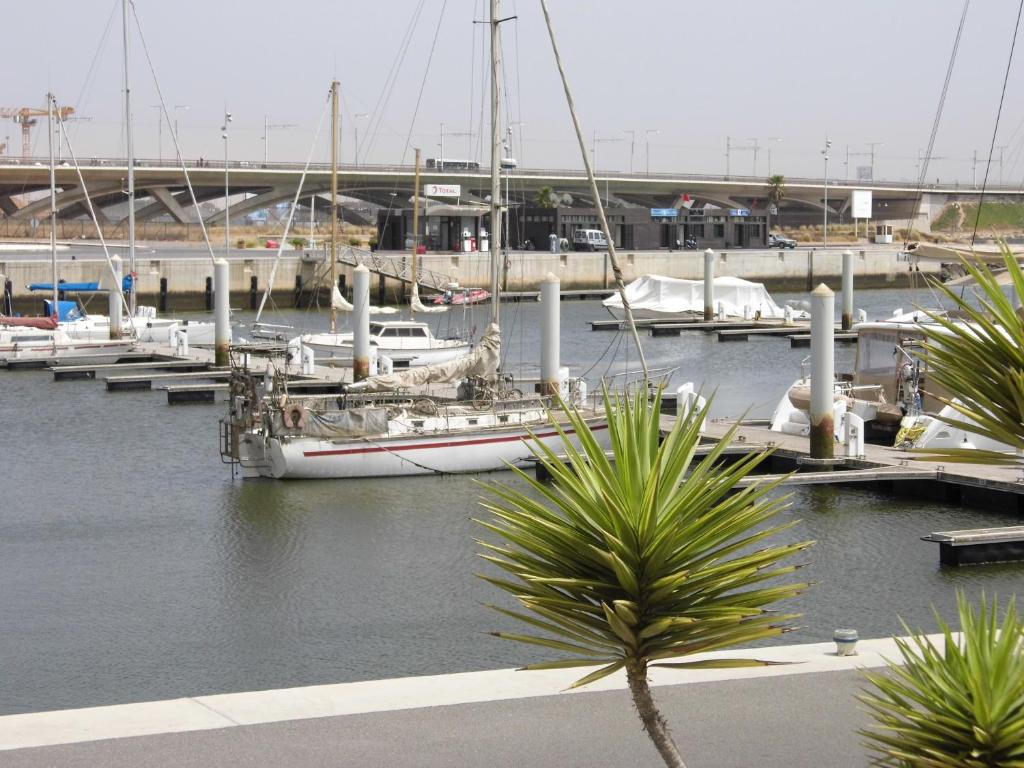 Surrounding environment