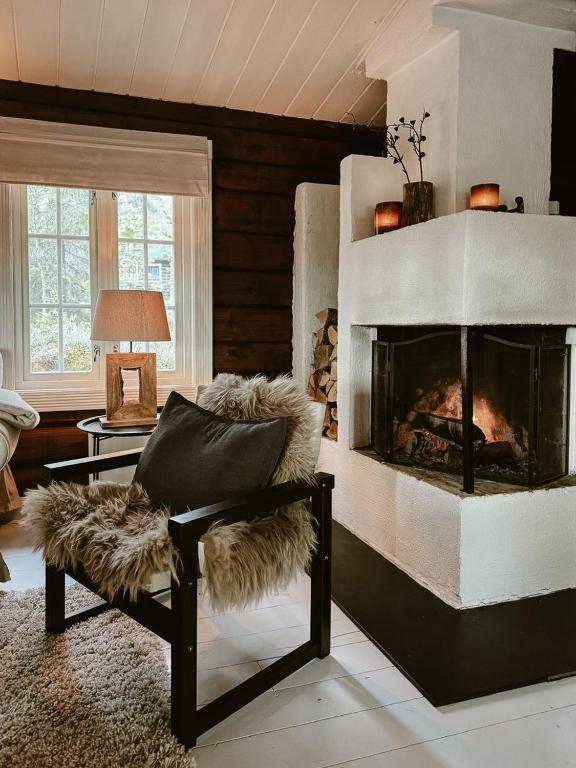 Log Cabin In Trysil With Jacuzzi And Ski Access, Trysil