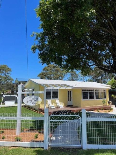 Daffodil on Owen, Huskisson