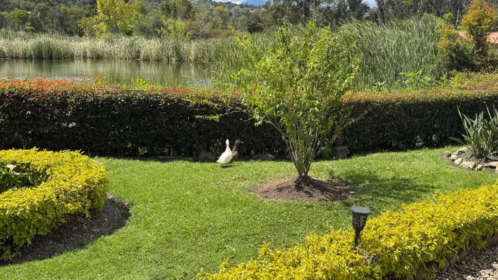 Finca la gloria un paraíso para disfrutar - 3