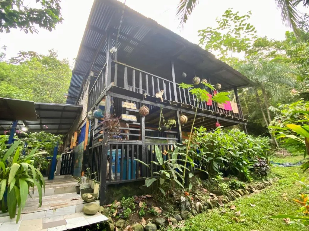 The 10 closest hotels to José Celestino Mutis Airport (BSC), Bahía Solano |  Booking.com