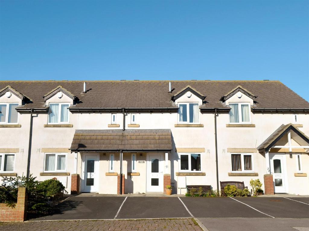 Turnstone, Seahouses