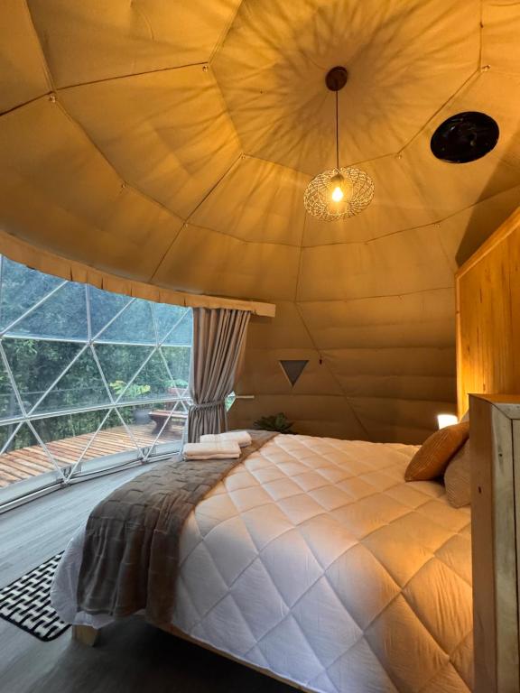 Epífita, Bosque Nuboso Glamping Monteverde, Monteverde Costa Rica