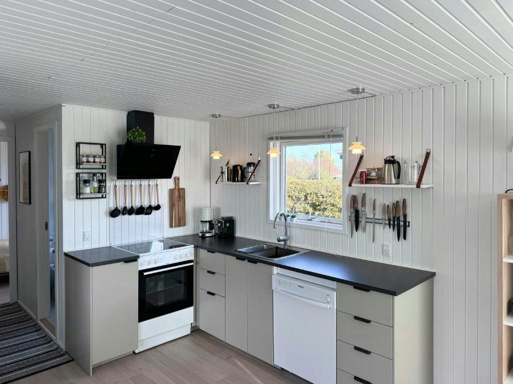 Seaside Cottage With Ocean View At Flovt Beach, Haderslev