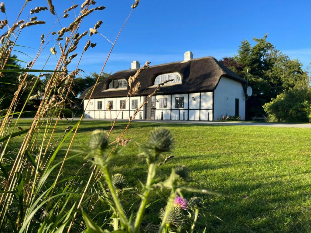 Charming Thatched Cottage From 1877, Ørsted