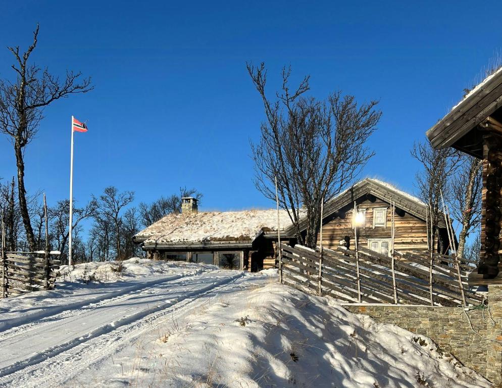 Large Log Cabin, Ski Fun Near Dagali, Dagali
