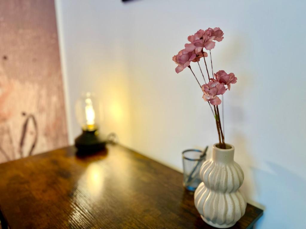 MAIN Cozy Casa Peterplatz - 3
