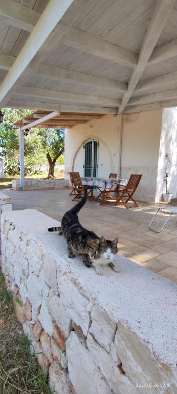 La Stradella Ostuni Country - 4