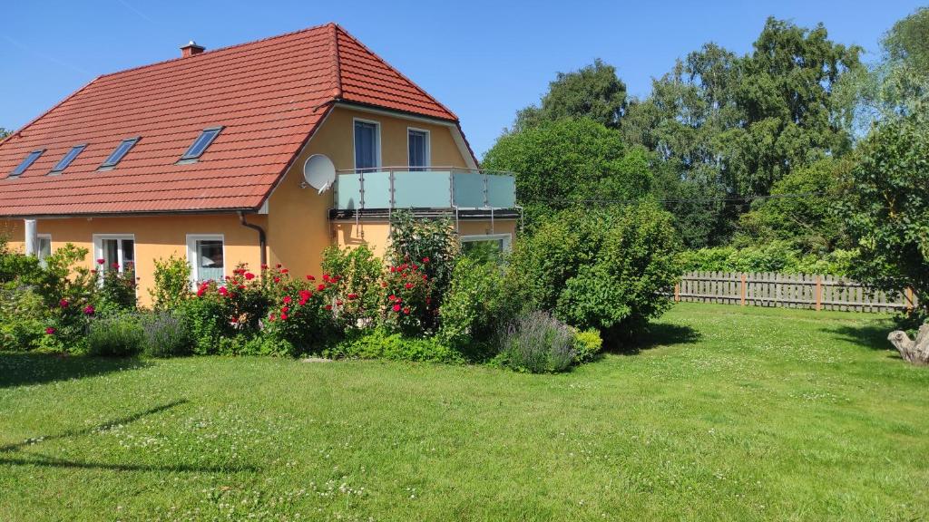 Küstenblüte, Steffenshagen