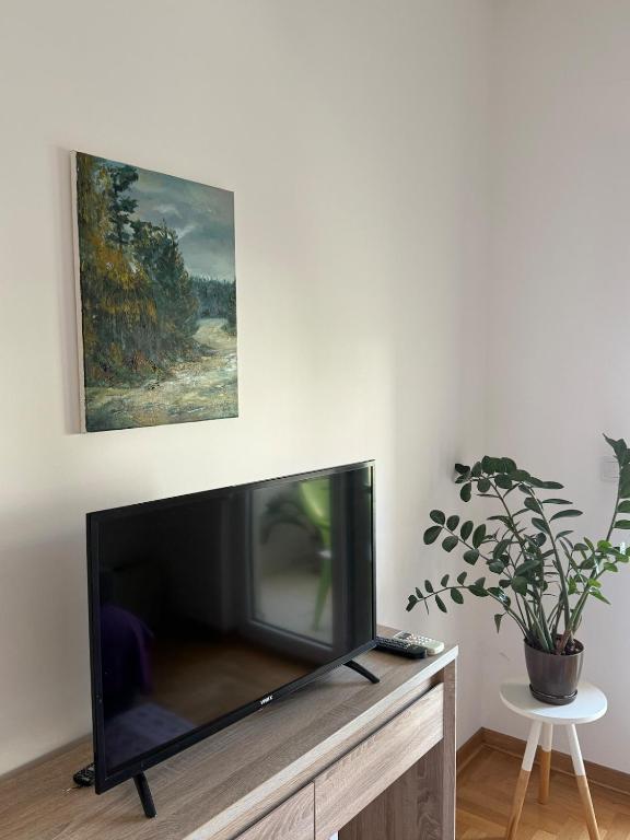 Cozy Apartment with Private Garage - Walk to City Center - 3